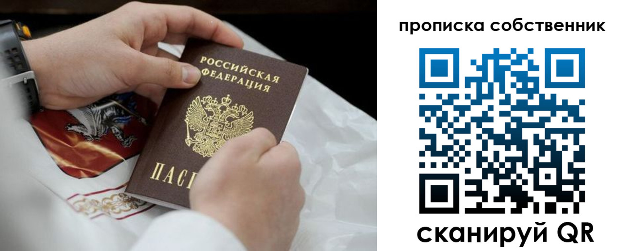 прописка 2025 в Александровске