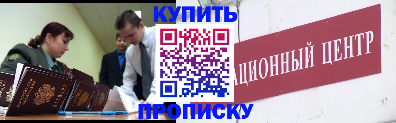 прописка поиск в Александровске